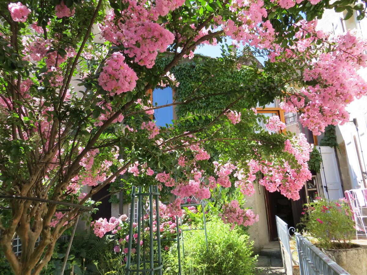 La Mirandole Bed & Breakfast Foix Dış mekan fotoğraf