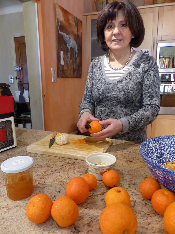 La Mirandole Bed & Breakfast Foix Dış mekan fotoğraf